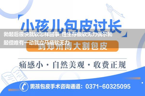 勃起后很快就软怎样回事_性生存疲软无力偶尔勃起但唯有一动就立马疲软无力